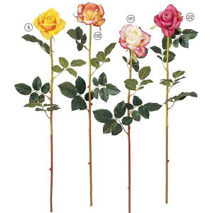 75cm CObVeB[[Y [ONSFLSP7702] |lHϗtA A[gt[  t[ tFCNO[  t fR[V  Cxg p[eB[ t[AWg C