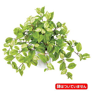 55cm CgO[C|gXubV(201)[ONSLEBU7651] |lHϗtA tFCNO[   fR[V t Xܑ fBXvC  CeA t[AW