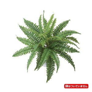 {Xgt@[ubV(25) [ONSLEBU7686]lHϗtA tFCNO[   fR[V t Xܑ fBXvC  CeA t[AWg A 