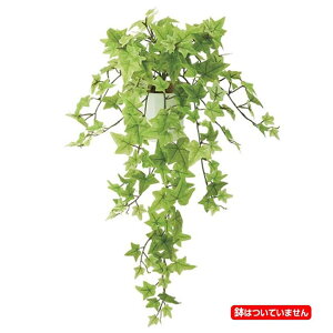 75cm CgO[Z[WACr[ubV(170) [ONSLEBU7691]blHϗtA tFCNO[   fR[V t Xܑ fBXvC  CeA t[A