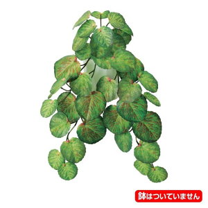 50cm �x�S�j�A�u�b�V��(38) [ONSLEBU7692] �b�l�H�ϗt�A�� �t�F�C�N�O���[�� ���� ���� �f�R���[�V���� ����t�� �X�ܑ��� �f�B�X�v���C �������� �C���e���A �t�����[�A�����W�����g ���A�� ���� 