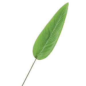 100cm CgO[AXE[t [ONSLESP3850] |lHϗtA tFCNO[   fR[V t Xܑ fBXvC  CeA t[AW