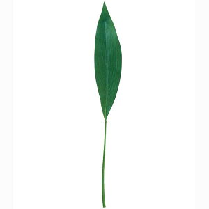 95cm n[t [ONSLESP7674] |lHϗtA tFCNO[   fR[V t Xܑ fBXvC  CeA t[AWg t [t