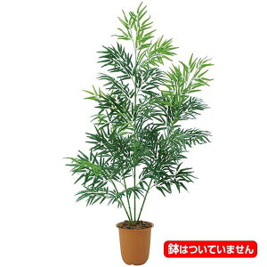 210cm ^Pc[(4/1065)[ONSLETR7610] G}Xv[v[g ϕs  |lHϗtA tFCNO[   t Xܑ fBXvC  CeA ^ 