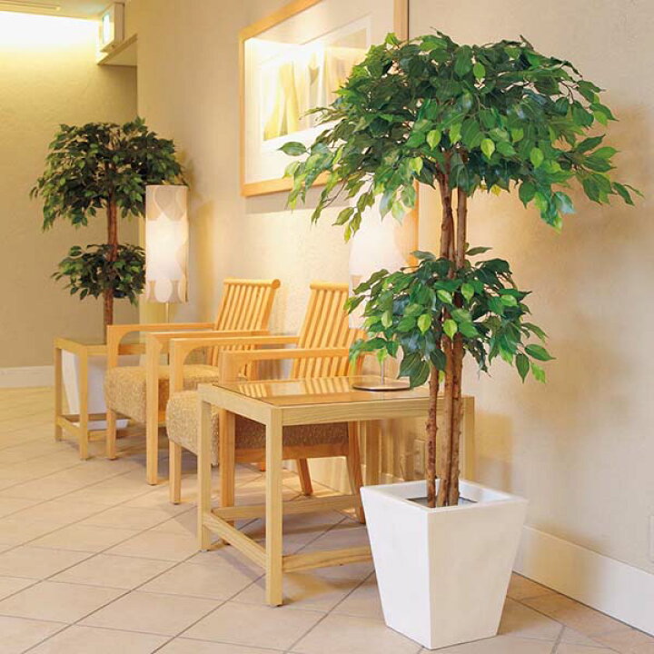 楽天市場 180cm ダブルフィカスツリー ナチュラルトランク Onsletr7638 光触媒スプレープレゼント 代引決済不可 送料無料 人工観葉 植物 フェイクグリーン 造花 装飾 飾り付け 店舗装飾 ディスプレイ 室内装飾 インテリア 大型 造花装飾専門店 緑花堂