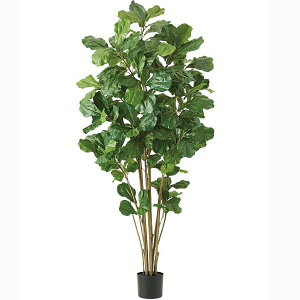 180cm Ex[^c[(204)[ONSLETR7674] G}Xv[v[g ϕs  |lHϗtA tFCNO[   t Xܑ fBXvC  CeA 