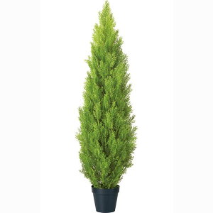 150cm S[hNXgc[[ONSLETR7684] G}Xv[v[g ϕs  |lHϗtA tFCNO[   t Xܑ fBXvC  CeA 