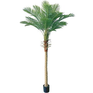 240cm j[tFjbNXp[c[ [ONSLETR7689] G}Xv[v[g ϕs  |lHϗtA tFCNO[   t Xܑ fBXvC  C