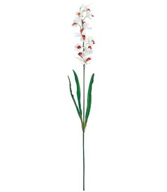 80cm シンビジウム [ONSFLSP7289] |人工観葉植物 アートフラワー 造花 フラワー フェイクグリーン 装飾 飾付 小物 デコレーション 飾り イベント パーティー フラワーアレンジメント 店舗装飾 花束 クリーム ディスプレイ 室内装飾 飾り付け