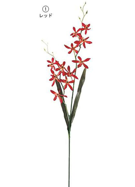 楽天市場 75cm アランダ 10 Onsflsp1776 人工観葉植物 アートフラワー 造花 フラワー フェイクグリーン 装飾 飾付 小物 デコレーション 飾り イベント パーティー フラワーアレンジメント 店舗装飾 花束 レッド バーガンディ ディスプレイ 室内装飾 飾り付け 造花 楽天市場 75cm アランダ 10 Onsflsp1776 人工観葉植物 アートフラワー 造花 フラワー フェイクグリーン 装飾 飾付 小物 デコレーション 飾り イベント パーティー フラワーアレンジメント 店舗装飾 花束 レッド バーガンディ ディスプレイ 室内装飾 飾り付け 造花