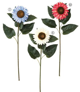 55cm N[Tt[ [ONSFLSP3823] |lHϗtA A[gt[  t[ tFCNO[  t fR[V  Cxg p[eB[ t[AWg CeA 