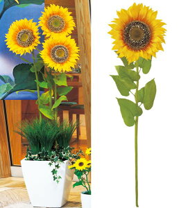 125cm W{Tt[(1) [ONSFLSP3859] ϕs |lHϗtA A[gt[  tFCN  t fR[V  Cxg p[eB[ t[AWg CeA