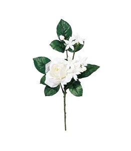 35cm VA[[YXet@meBXsbN [ONSFLPC7467] |lHϗtA A[gt[  tFCNO[  t fR[V  Cxg p[eB[ t[AWg X