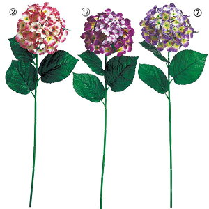 75cm AWTC(1/4) [ONSFLSP3259] |lHϗtA A[gt[  tFCNO[  t  fR[V  Cxg p[eB[ t[AWg Xܑ AWTC s