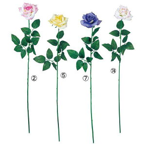 65cm pXe[Y [ONSFLSP7490] |lHϗtA A[gt[  t[ tFCNO[  t fR[V  Cxg p[eB[ t[AWg CeA X