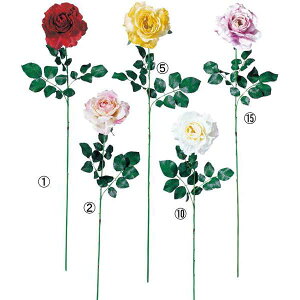 70cm Ve[[Y [ONSFLSP7549] |lHϗtA A[gt[  t[ tFCNO[  t fR[V  Cxg p[eB[ t[AWg CeA 