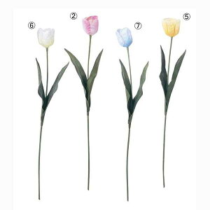 65cm VL[`[bv [ONSFLSP7666] | lHϗtA A[eBVt[ tFCNO[  t fR[V  Cxg t[AWg Xܑ ԍ fBX