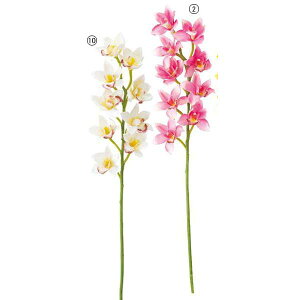 75cm R[fBAVrWE(9) [ONSFLSP7857] | lHϗtA A[eBtBVt[ tFCNO[  t fR[V  Cxg p[eB[ t[AWg