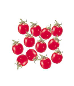 30mm v`g}g [ONSDIFV7959] |tFCNt[h HiTv vJ fBXvC fR[V 蕨  t   Cxg p[eB[ t[AWg Xܑ t