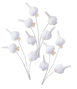 70mm K[bN(C[t)i12{j [ONSPAFV7774] |tFCNt[h HiTv vJ fBXvC fR[V 蕨  t   Cxg p[eB[ t[A