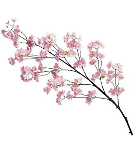 140cm }(186) [ONSFLSP1427] ϕs |lHϗtA A[gt[  t[ tFCNO[  t  fR[V  Cxg p[eB[ t[AWg 