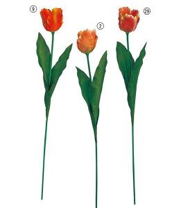 65cm p[bg`[bv@[ONSFLSP1309] |lHϗtA A[gt[  t[ tFCNO[  t  fR[V  Cxg p[eB[ t[AWg 