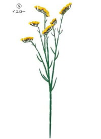 楽天市場 スターチス 花束の通販