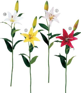 85cm JTuJ(2) [ONSFLSP7704] |lHϗtA A[gt[  t[ tFCN  t  fR[V  Cxg p[eB[ t[AWg CeA Xܑ