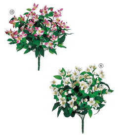 楽天市場 アルストロメリア 花束の通販