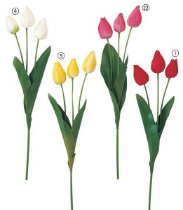 45cm `[bv(3) [ONSFLSP1769] |lHϗtA A[gt[  t[ tFCNO[  t  fR[V  Cxg p[eB[ t[AWg Xܑ 