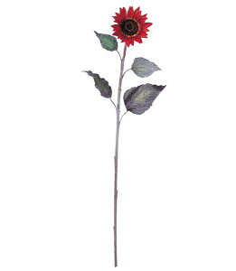 80cm wATX [ONSFLSP3569] |lHϗtA A[gt[  t[ tFCNO[  t fR[V  Cxg p[eB[ t[AWg CeA Xܑ