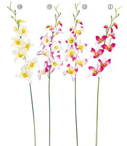 65cm fhrE(6) [ONSFLSP7300] |lHϗtA A[gt[  t[ tFCNO[  t  fR[V  Cxg p[eB[ t[AWg Xܑ