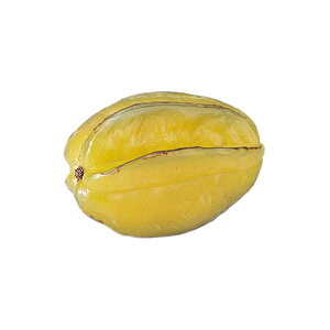 100mm X^[t[c [ONSDIFV7875] |tFCNt[h HiTv vJ fBXvC fR[V 蕨  t   Cxg p[eB[ t[AWg Xܑ 