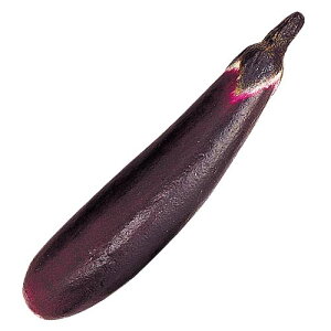 210mm iX [ONSDIFV7281] |tFCNt[h HiTv vJ fBXvC fR[V 蕨  t   Cxg p[eB[ t[AWg Xܑ t e[