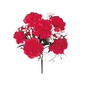 30cm J[l[VJX~\EubV(6)[ONSFLBU1694]|lHϗtA A[gt[  tFCNO[  t  fR[V  Cxg p[eB[ t[AWg 