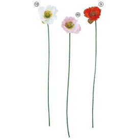 楽天市場 アイスランドポピー 花 観葉植物 花 ガーデン Diy の通販 楽天市場 アイスランドポピー 花 観葉植物 花 ガーデン Diy の通販