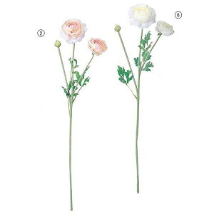 55cm iLX(2/1) [ONSFLSP1674] |lHϗtA A[gt[  t[ tFCNO[  t  fR[V  Cxg p[eB[ t[AWg Ce