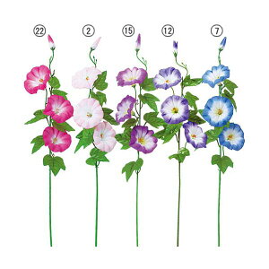 75cm ATKI(4)@[ONSFLSP3762]  A[eBtBVt[ tFCNO[ lHϗtA  