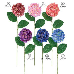 75cm AWTC(1/2) [ONSFLSP3903] |lHϗtA A[gt[  tFCNO[  t  fR[V  Cxg p[eB[ t[AWg Xܑ AWTC 