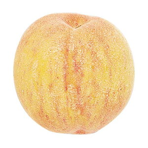 80mm s[` [ONSDIFV7269] |tFCNt[h HiTv vJ fBXvC fR[V 蕨  t   Cxg p[eB[ t[AWg Xܑ t e