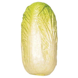 215mm nNTC [ONSDIFV7288]|tFCNt[h HiTv vJ fBXvC fR[V 蕨  t   Cxg p[eB[ t[AWg Xܑ t 