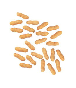 50mm s[ibc i24j [ONSDIFV7949] |tFCNt[h HiTv vJ fBXvC fR[V 蕨  t   Cxg p[eB[ t[AWg X