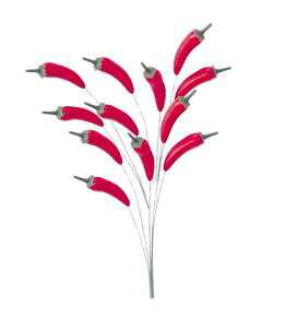 70mm ` (C[t)i12{j [ONSPAFV7773] |tFCNt[h HiTv vJ fBXvC fR[V 蕨  t   Cxg p[eB[ t[AW