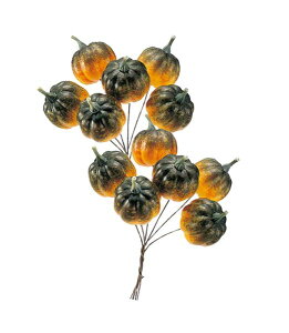 40mm pvL(C[t)i12j [ONSPAFV7772] |tFCNt[h HiTv vJ lHϗtA  tFCN fBXvC fR[V 蕨  t   Cx