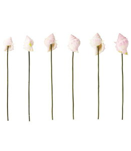 60mm sNVF(C[t) (6{) [ONSPAFI3002] |lHϗtA A[gt[  tFCN  t  G ̔ fR[V  Cxg p[eB[ t[AW