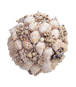 10cm VFCh{[ [ONSDIFI3934] |lHϗtA A[gt[  tFCN  t  G ̔ fR[V  Cxg p[eB[ t[AWg CeA X