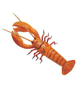 50cm uX^[ [ONSDIFI7925]  | tFCN t[h lHϗtA  } T}[  fR[V G  Cxg p[eB[ t[AWg Xܑ CV Gr 