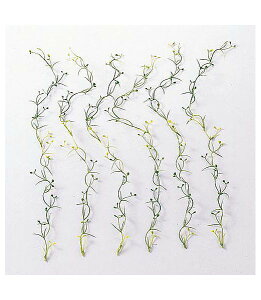 55cm i6{j [ONSLESP1660] |lHϗtA  tFCN O[  t  G  fR[V  Cxg p[eB[ t[AWg Xܑ i fBX