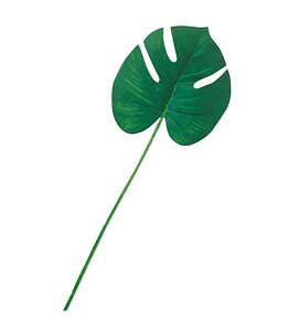 60cm Xe[t [ONSLESP3653] |lHϗtA A[gt[  t[ tFCNO[   t fR[V  Cxg p[eB[ t[AWg ԍ C