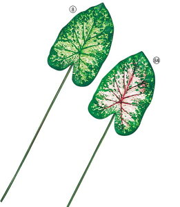 85cm JWE[t [ONSLESP7299] |lHϗtA A[gt[  tFCNO[   t fR[V  Cxg p[eB[ t[AWg ԍ CeA 